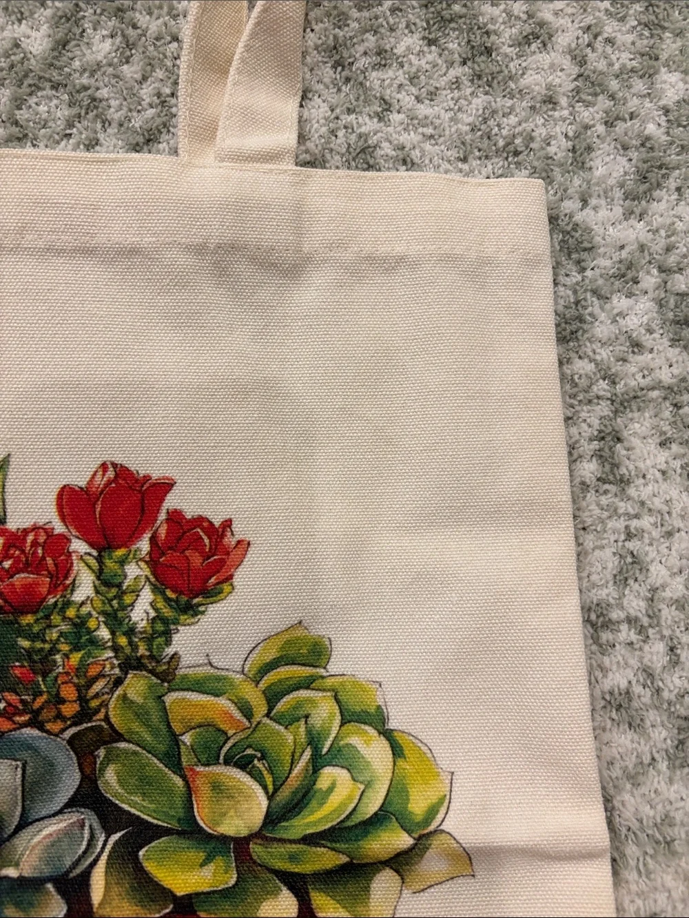 Southwest Ceramic Potted Succulents Cotton Canvas Tote Bag NWT 13.5x15.5”